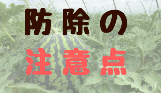 休学申請を拒否 やっぱり大学ってなんだか変なところ Ume Farm