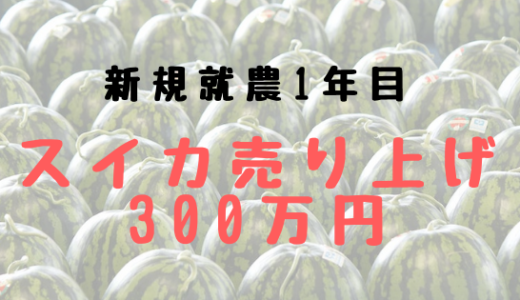 21年版 スイカの雄花と雌花ってどうなってるの シーズン出荷玉 幻の 福賀すいか の栽培の様子をお届け 授粉 Ume Farm