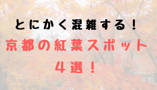 紅葉シーズンは混雑必至！特に消耗が予想される京都の紅葉スポット４選！